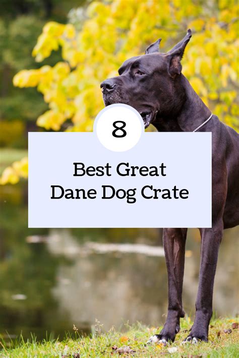 Top 8 Best Great Dane Dog Crates | Great dane dogs, Great dane crate ...