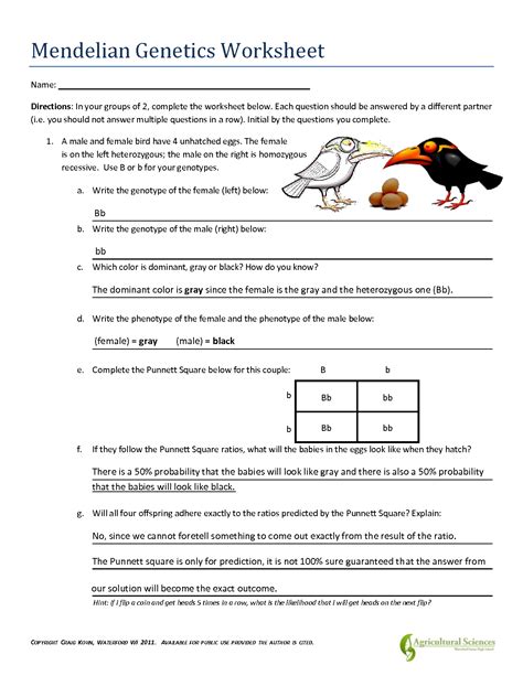 Genetics Worksheets and Printables - Worksheets Library