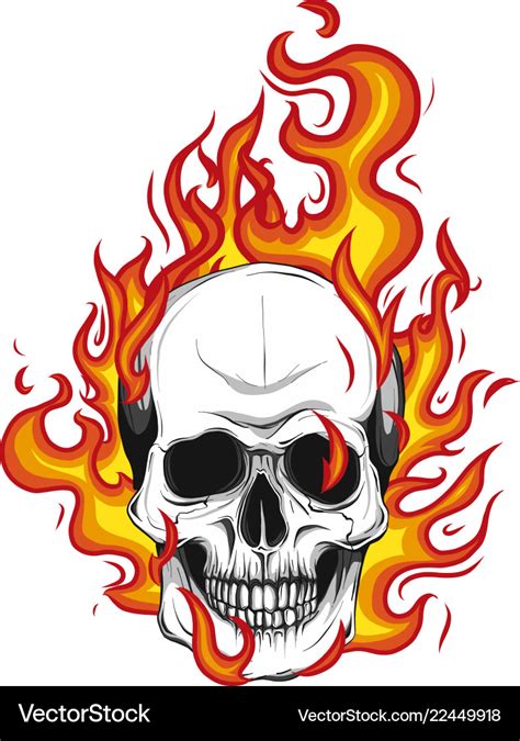 Skull on fire with flames Royalty Free Vector Image