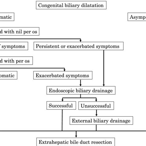 Treatment strategy for preoperative management of congenital biliary ...