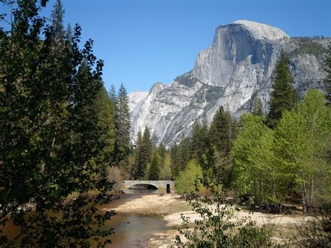 Merced River Restoration - Yosemite National Park (U.S. National Park Service)