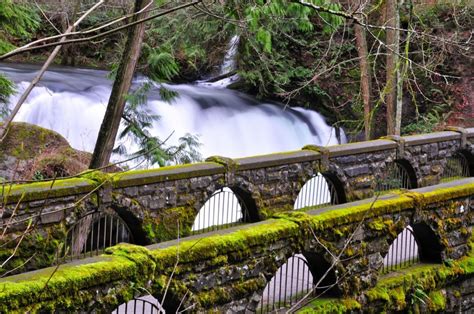 Trail Running in Whatcom County - WhatcomTalk