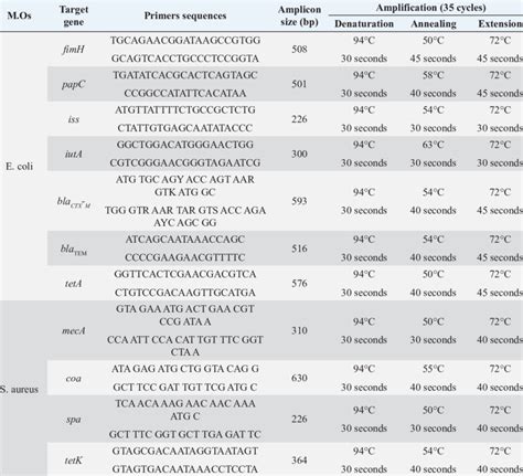 Primers and amplicon sizes of the amplified products and specific ...