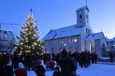 Reykjavik's Oslo Christmas tree to be lit on Sunday - Iceland Monitor