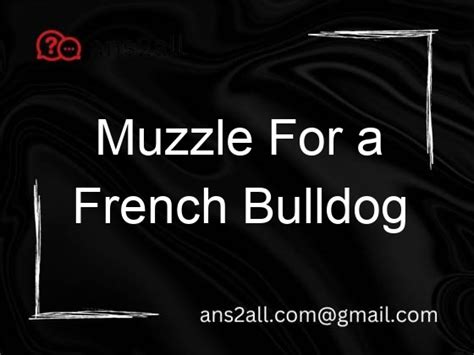 Muzzle For A French Bulldog - Ans2All