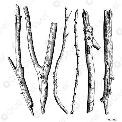 Set of detailed and precise ink drawing of wood twigs - stock vector ...