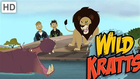 Wild Kratts - The Most Deadly Animals in Africa - YouTube