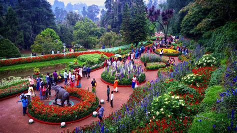 Ooty Tourism And Sightseeing