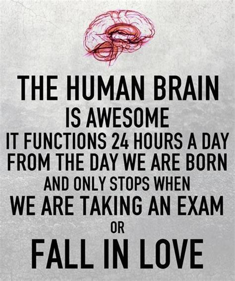 The human brain is awesome. It functions 24 hours a day from the day we ...