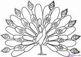 How To Draw A Peacock  Drawing Bird Coloring Pages Drawings sketch template