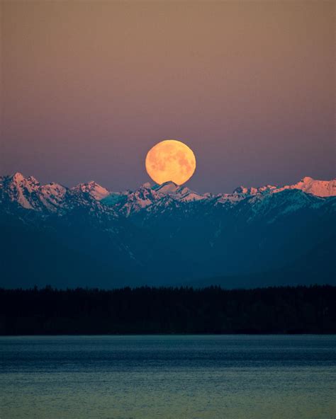 Moonset over the Olympic Mountains at sunrise, seen from Seattle [OC ...