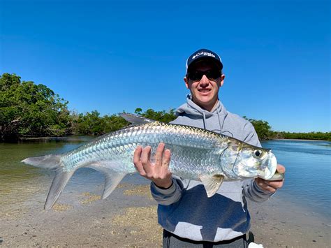 Naples & Marco Island Fishing Report - Naples & Marco Island Fishing Charters