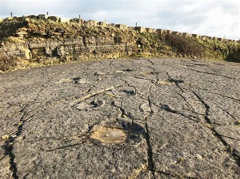 Dinosaur-Footprints-Keats-Quarry-Spyway-41 – UK Fossil Collecting