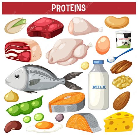 Premium Vector | Variety of protein meats with text