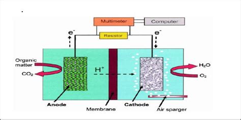 Schematic diagram of a typical Microbial Fuel Cell (MFC) | Download Scientific Diagram