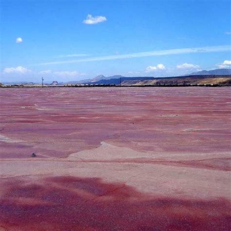 Lake Magadi, Kenya’s Pink Lake | Amusing Planet