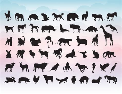 Zoo Animal Svg Free - 1443+ SVG File for DIY Machine - Free SVG Cut ...