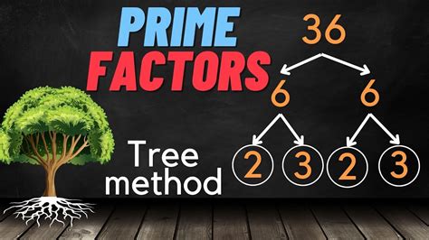 Prime factorization using the Tree method - YouTube