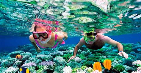 Koh Rong Samloem Snorkeling and Diving Experience from Sihanoukville ...