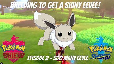 Breeding a Shiny Eevee - Episode 2 | Pokémon Sword and Shield ...