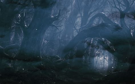 forest, fantasy art, dark, HD Wallpaper | Rare Gallery