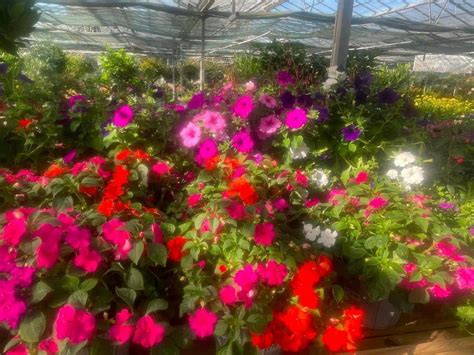 Garden Centre In Kent | Gardening World Limited