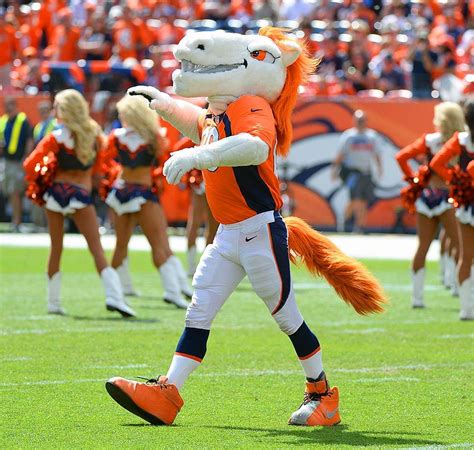 Ranking the NFL's Mascots Horse Costumes, Mascot Costumes, Adult Costumes, Live Mascot, Cute ...