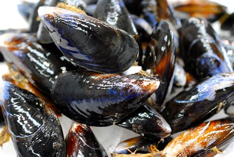 fresh-mussels | Marrfish - Fish & Seafood Home Delivery