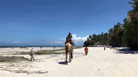 Top 10 Best Beautiful Beaches in Kenya | Beaches in Kenya | Kenya Tours