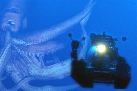 Legends of the Deep: The Giant Squid - American Conservation Film Festival | ACFF