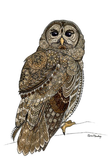 Barred Owl by ZHField on DeviantArt