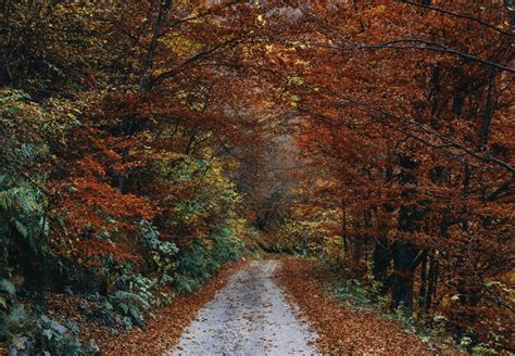 Happy October To You! - Wonder Horse Healing