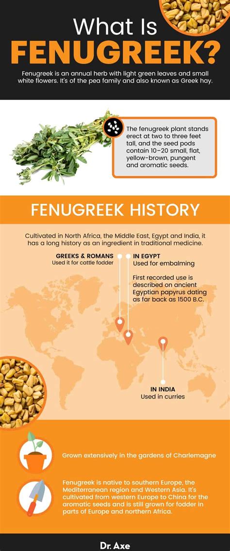 Fenugreek Benefits, Uses, Dosage and Side Effects - Dr. Axe