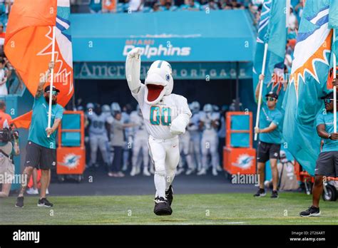 Miami. FL USA; Miami Dolphins mascot T.D. leads the team to the field prior to an NFL game ...