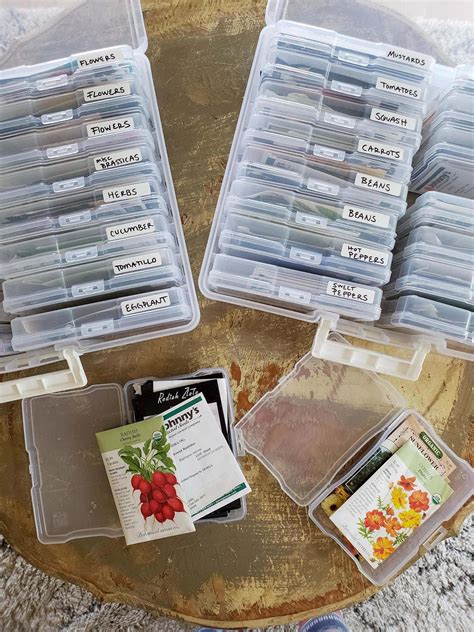 Seed-Saving 101: How to Save Seeds from Annual Flowers ~ Homestead and ...