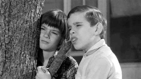 A look back at 'To Kill a Mockingbird'