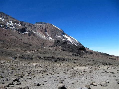 Alpine Desert - Picture of Mount Kilimanjaro, Kilimanjaro National Park ...