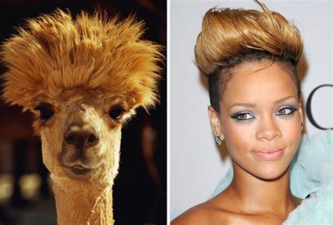 Celebrities That Look Like Animals