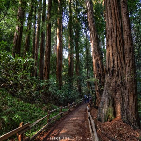 Muir Woods National Monument | One hundred and fifty million… | Flickr