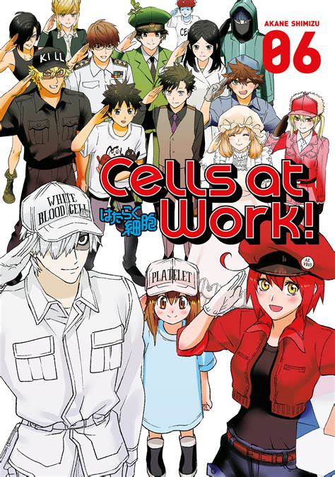 Buy TPB-Manga - Cells at Work! vol 06 GN Manga - Archonia.com