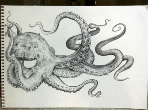 Octopus drawing - Imgur Octopus Tattoo Design, Octopus Tattoos, Ocean ...