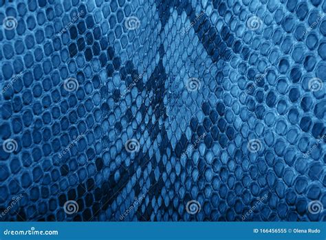 Snake Skin Pattern Toned Classic Blue Color Stock Image - Image of ...