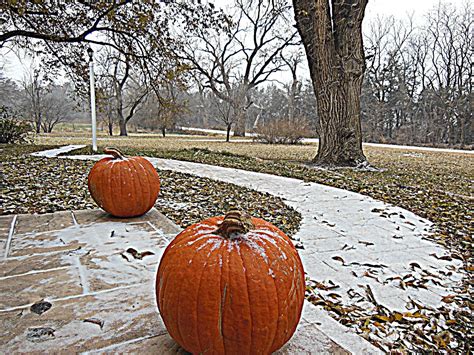 Kim's County Line: Frost on the Pumpkin