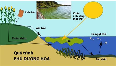 CHUYÊN ĐỀ DẠY THÊM HÓA HỌC 11 - SÁCH MỚI NĂM 2023 (CHƯƠNG 2 NITROGEN VÀ SULFUR) by Dạy Kèm Quy ...