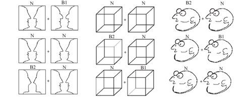 Pairs of ambiguous figures used in this study: figure-ground ...