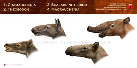 Macraucheniidae heads by RomanYevseyev on DeviantArt