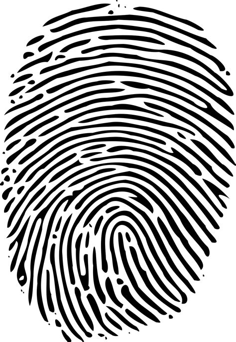 Fingerprint clipart thumb impression, Picture #1097988 fingerprint clipart thumb impression