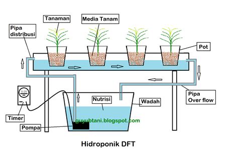 Pengertian Sistem NFT Dalam Hidroponik, Kelebihan Dan Kekurangannya - Haidunia