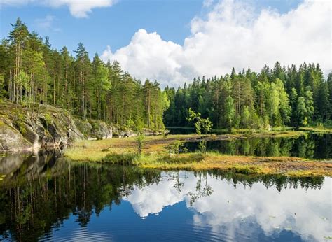 Shared Sipoonkorpi National Park Tour from Helsinki- OsaBus