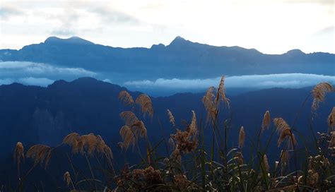 The best spot to catch Alishan sunrise - the locals' choice!